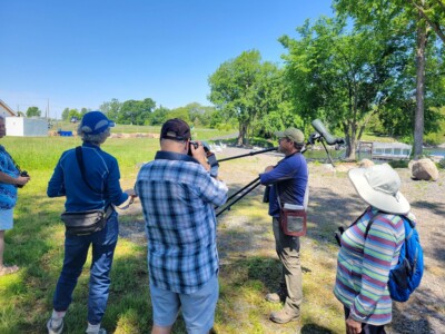 Image captured during the birding tour in 2024 Image captured during the birding tour in 2024